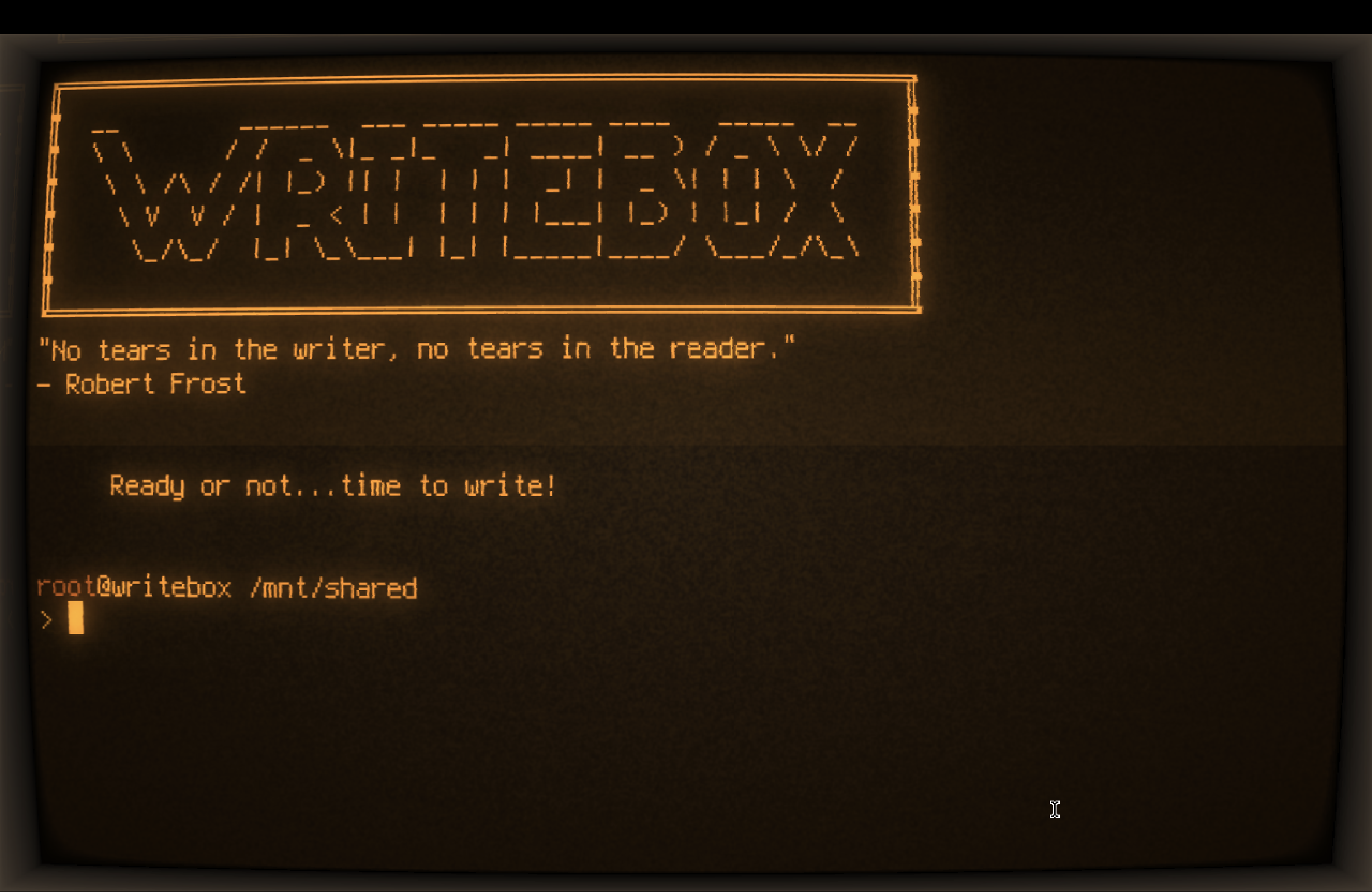 Cool Retro Term with default amber theme